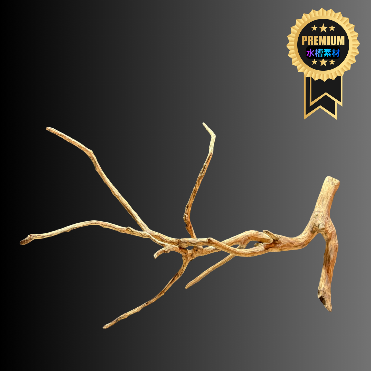 【新商品】ネグロジャングルウッドLL #001【1点もの】