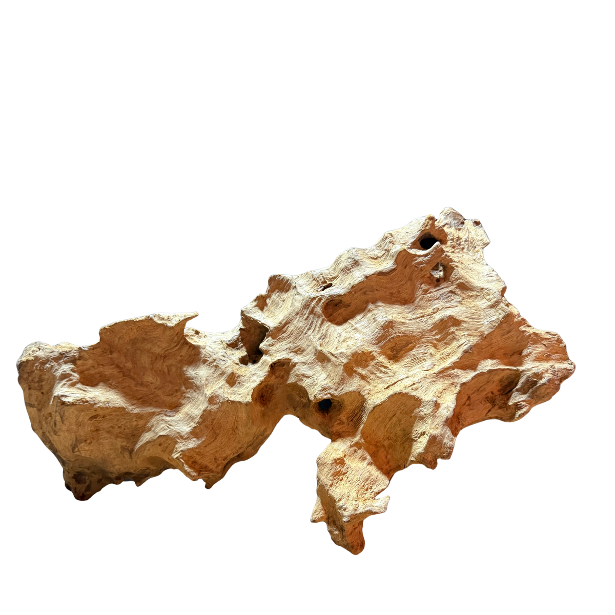 【新商品】スラウェシウッド #4【1点もの】