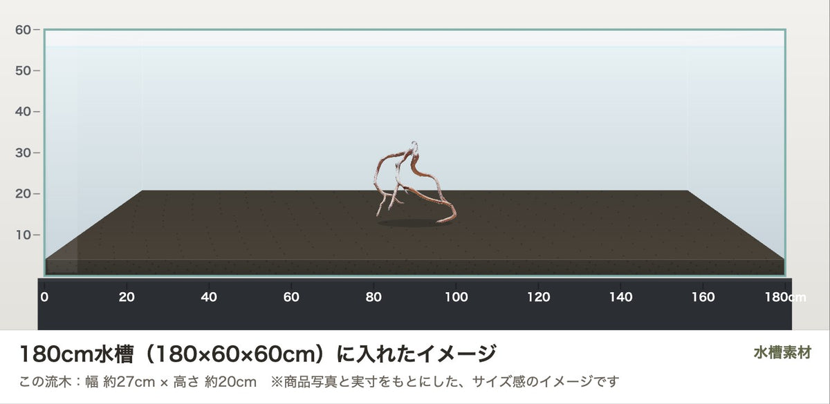 ネグロジャングルウッドL #021を180cm水槽(180×60×60cm)に入れたサイズ感のイメージ