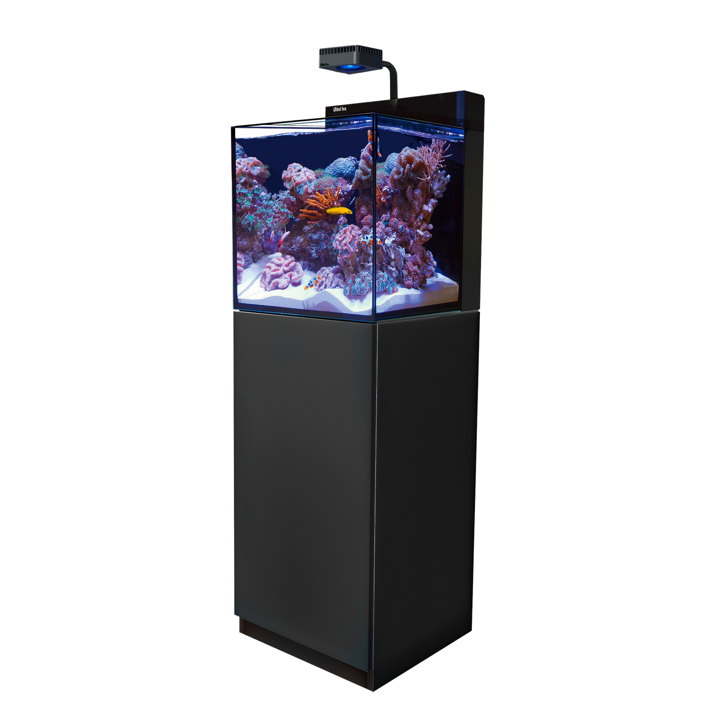 【水槽】レッドシー MAX NANO Cube G2 ブラックセット (50HZ)