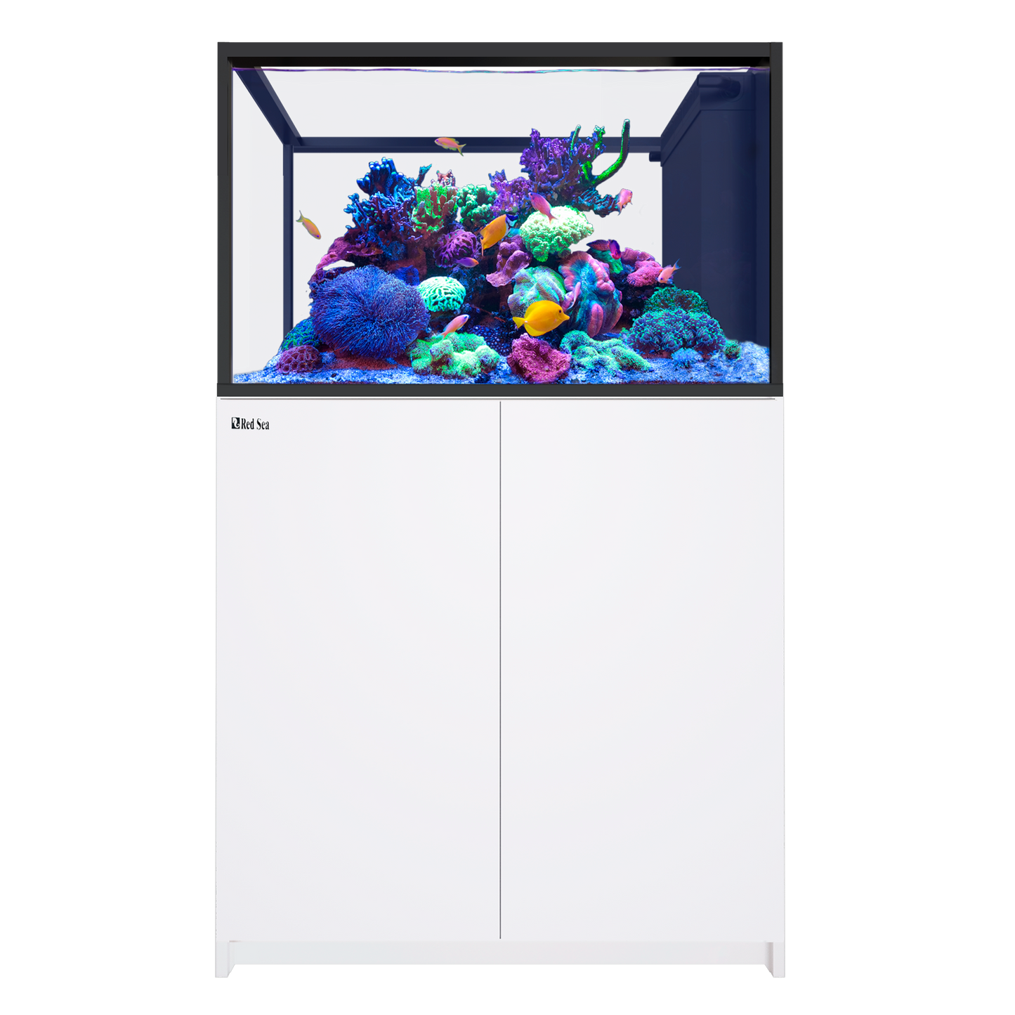 【水槽・受注生産】レッドシー Peninsula 350 G3 ホワイト
