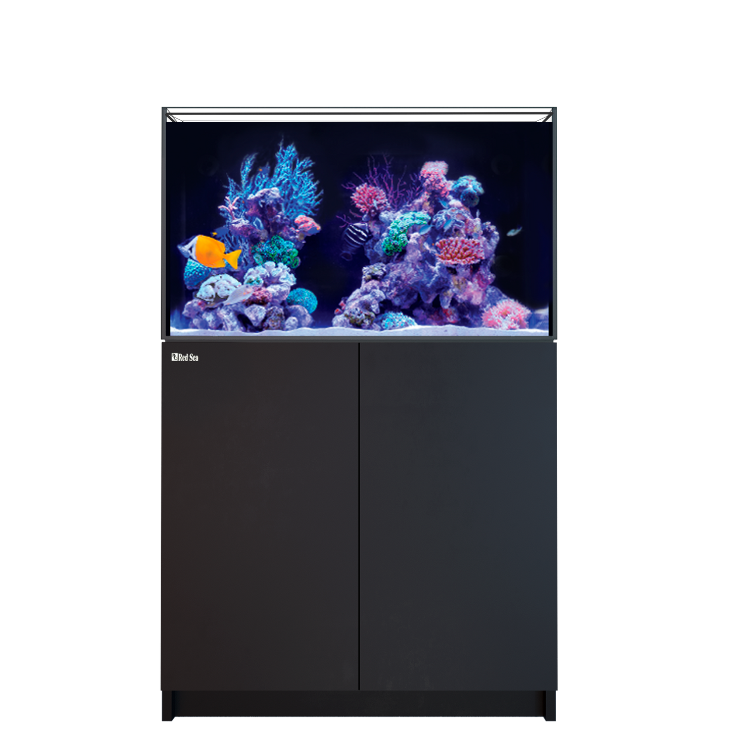 【水槽】レッドシー Reefer 250 G3 DX ブラック (ReefLED 115×2台付属)