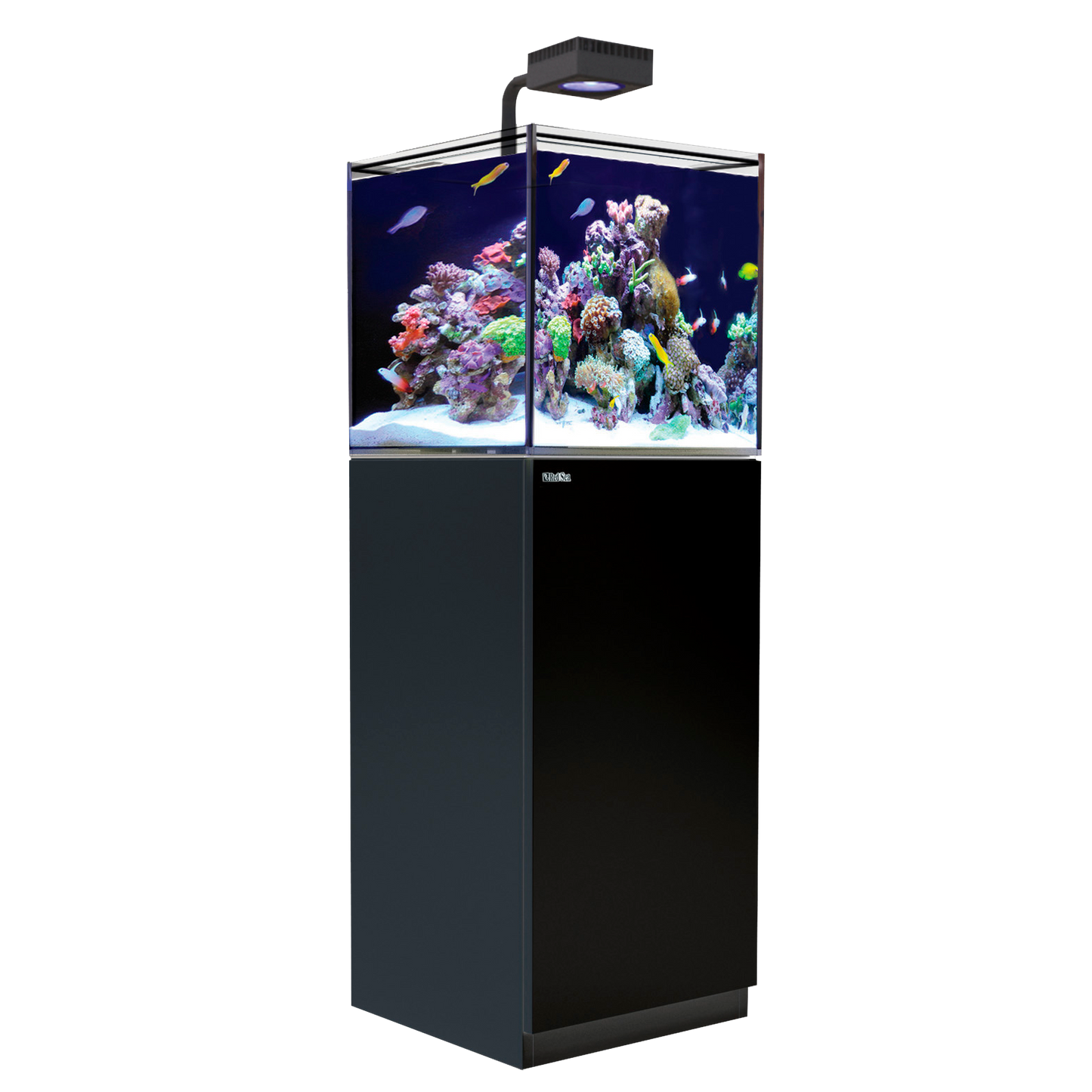 【水槽】レッドシー Reefer Nano DX ブラック (ReefLED 60×1台付属)