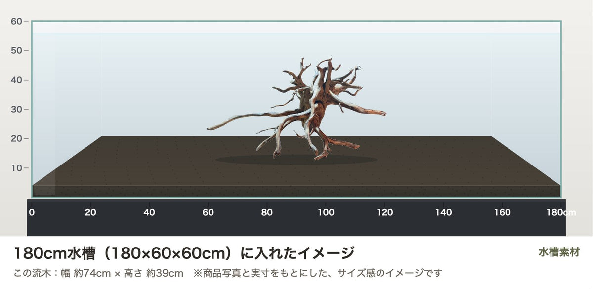 エレファントウッドXXL #32を180cm水槽(180×60×60cm)に入れたサイズ感のイメージ