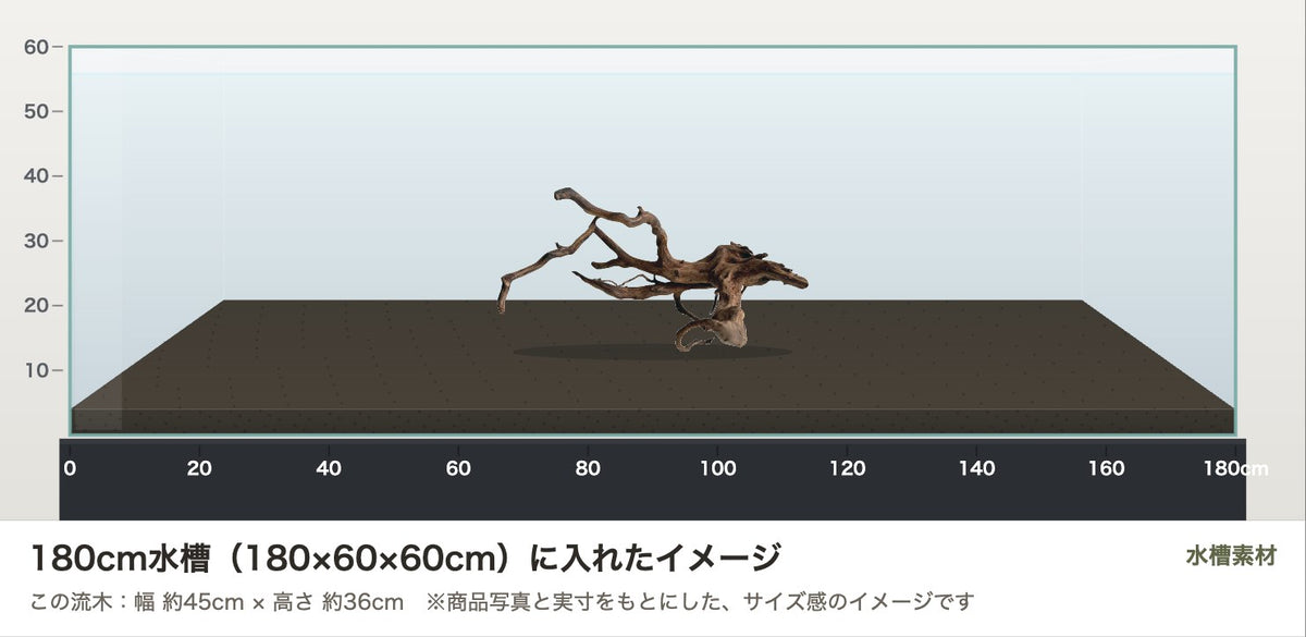 エレファントウッドXL #42を180cm水槽(180×60×60cm)に入れたサイズ感のイメージ
