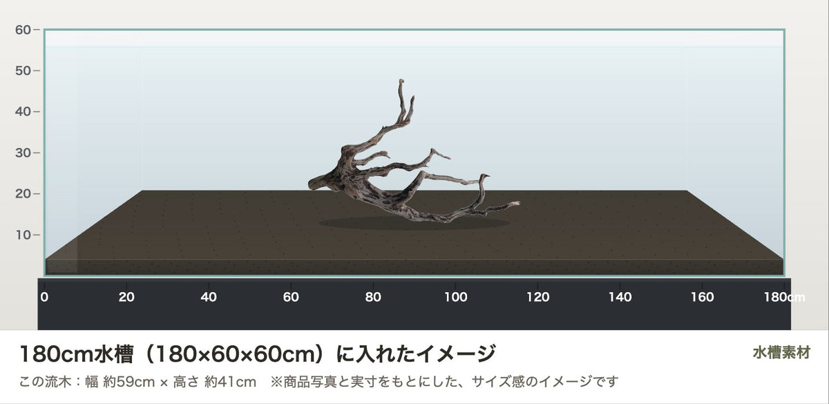 エレファントウッドXXL #45を180cm水槽(180×60×60cm)に入れたサイズ感のイメージ