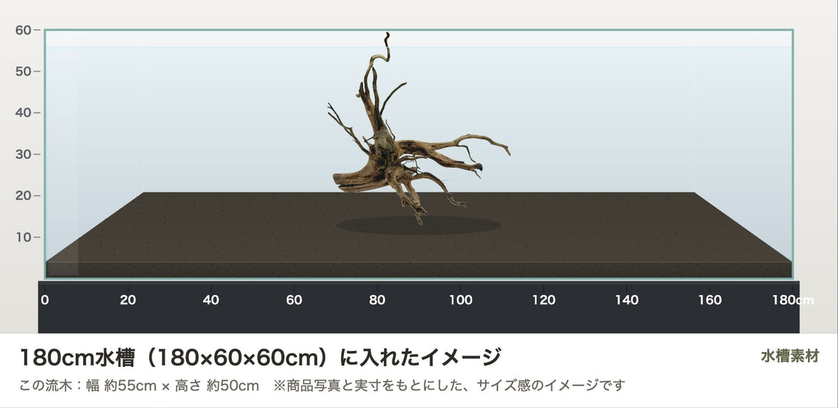 エレファントウッドXXL #50を180cm水槽(180×60×60cm)に入れたサイズ感のイメージ