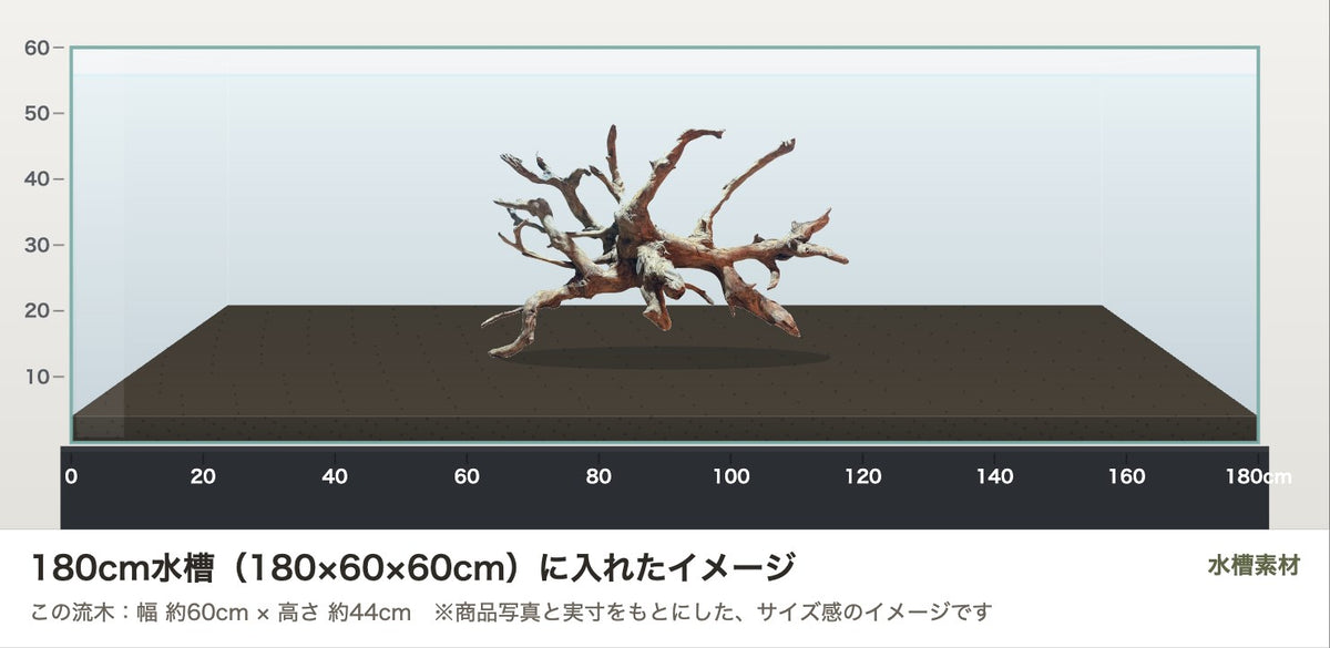 エレファントウッドXXL #30を180cm水槽(180×60×60cm)に入れたサイズ感のイメージ