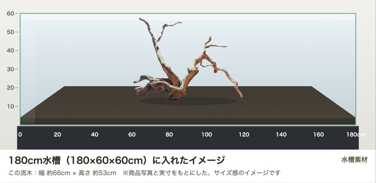 エレファントウッドXXL #34を180cm水槽(180×60×60cm)に入れたサイズ感のイメージ