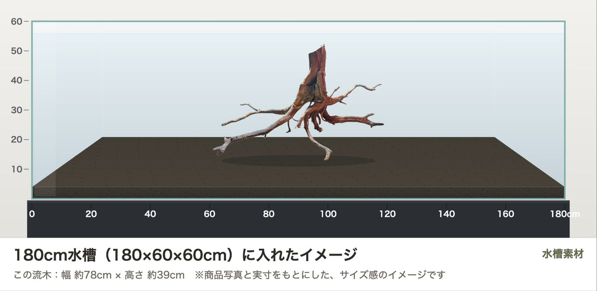 エレファントウッドXXXL #37を180cm水槽(180×60×60cm)に入れたサイズ感のイメージ