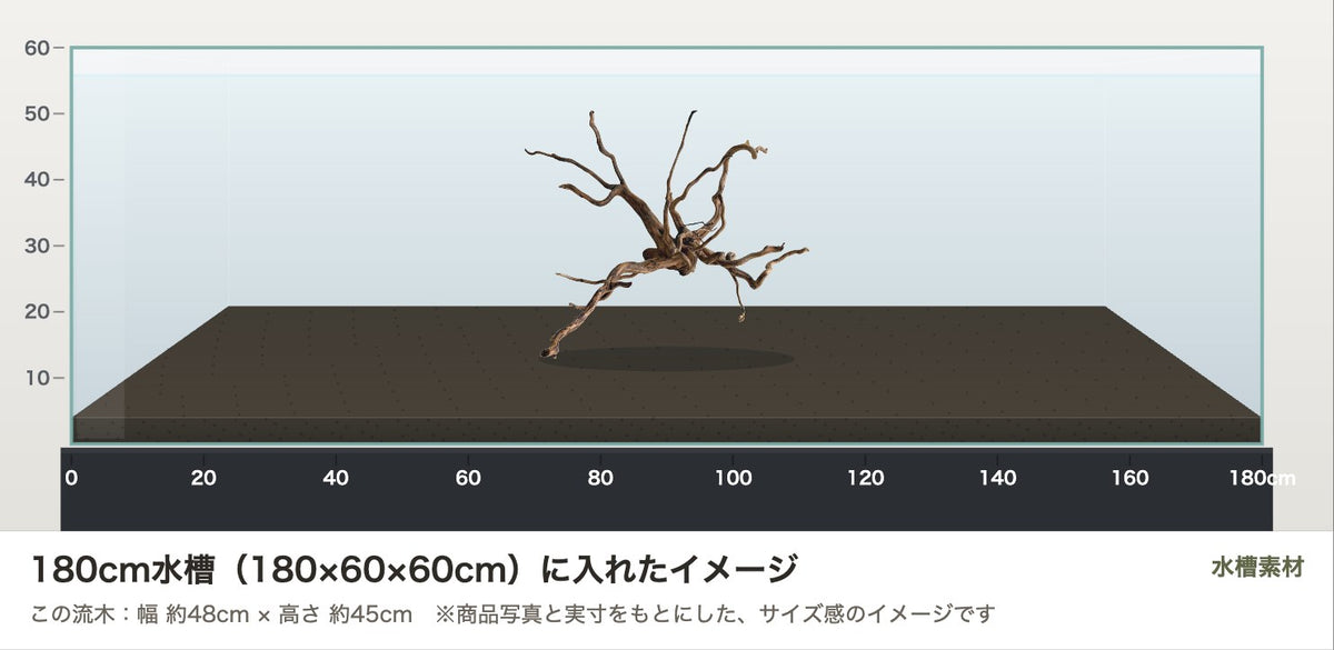 エレファントウッドXL #46を180cm水槽(180×60×60cm)に入れたサイズ感のイメージ