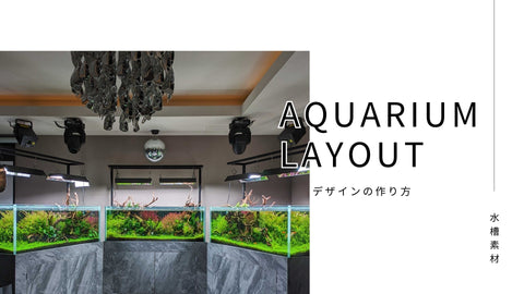 アクアリウムのレイアウト基礎から水槽デザイン制作方法