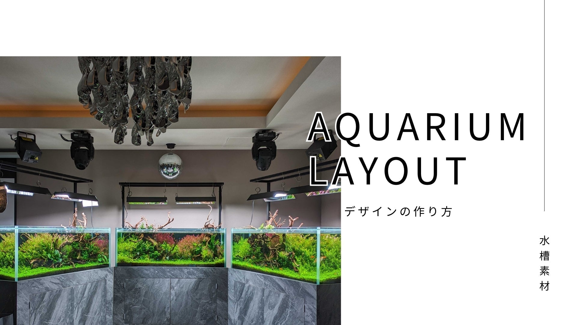 完全版】アクアリウムの水槽レイアウトを上手に作る方法 – 水槽素材