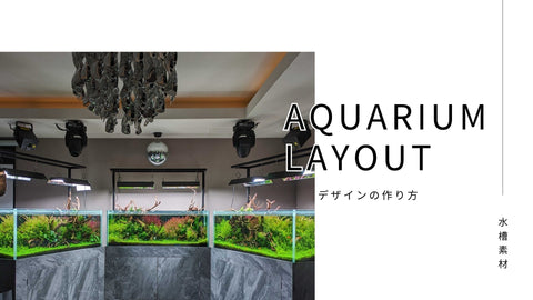 アクアリウムのレイアウト基礎から水槽デザイン制作方法