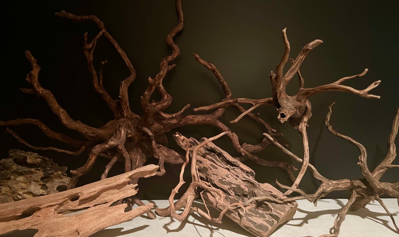 driftwood-aquarium-merits-01.
