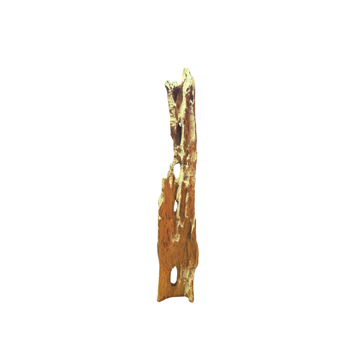 【新商品】スラウェシウッド #9【1点もの】