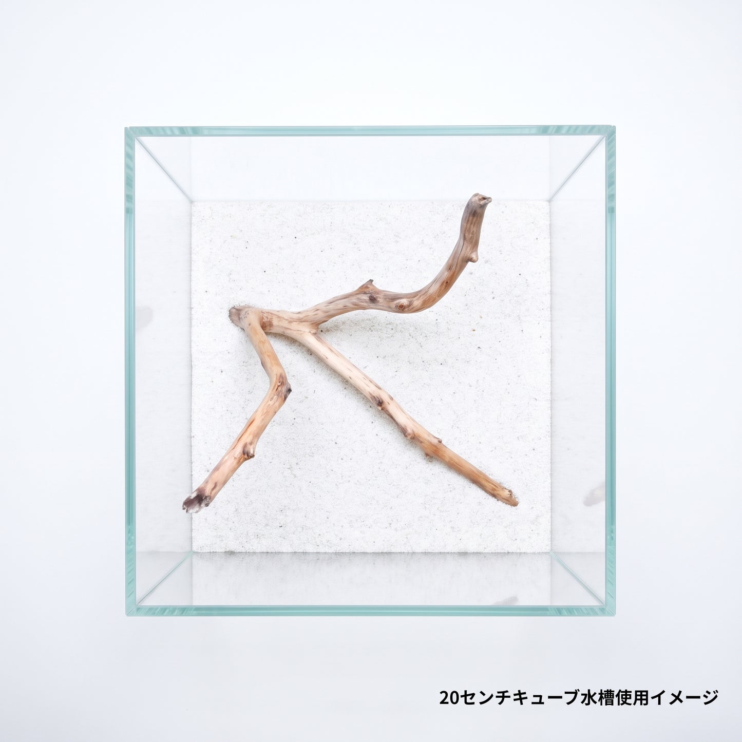 ネグロジャングルウッド（おまかせ）ミニ