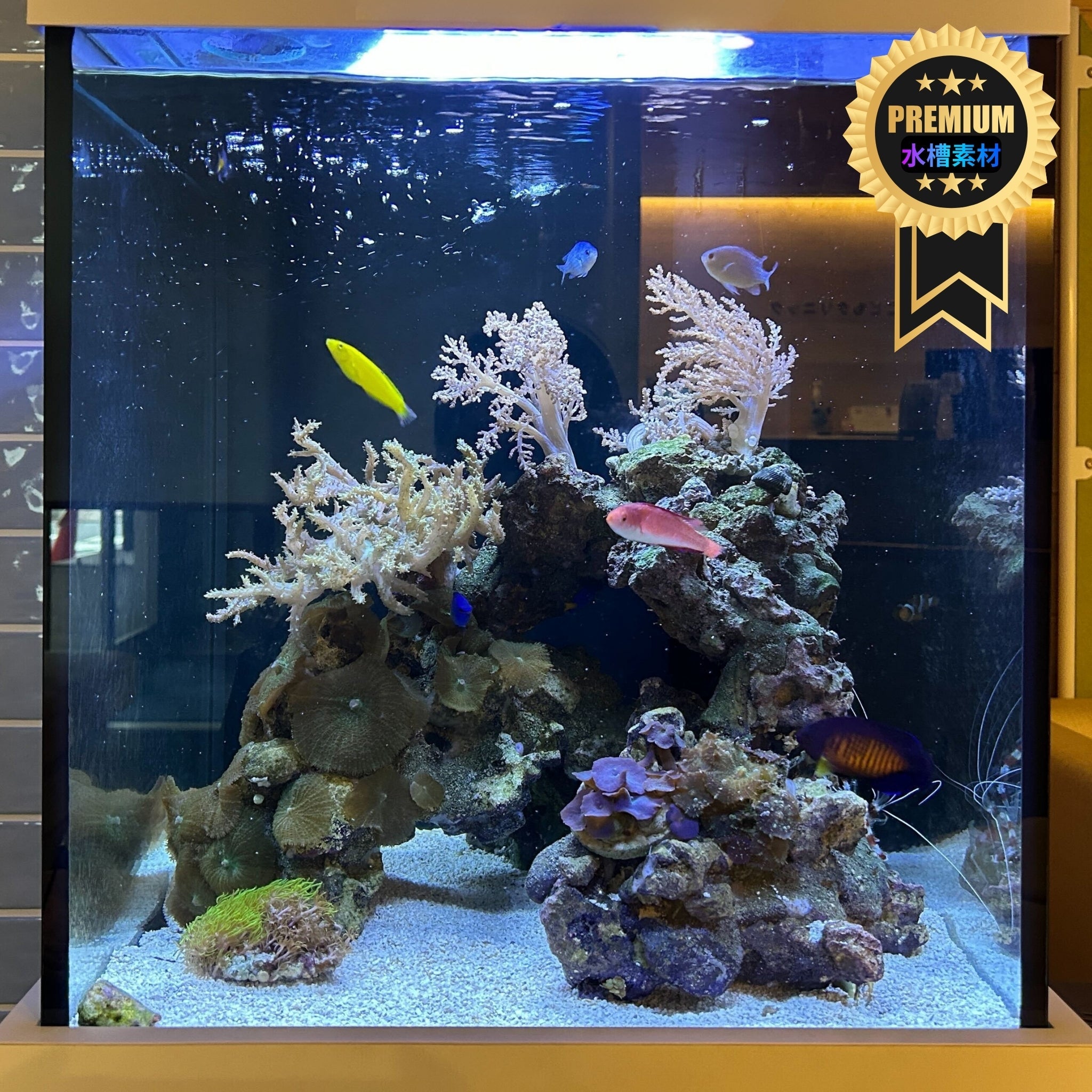 120cm水槽 国産オリジナルガラス水槽 GLASIA フラット GL-1200F – 水槽素材