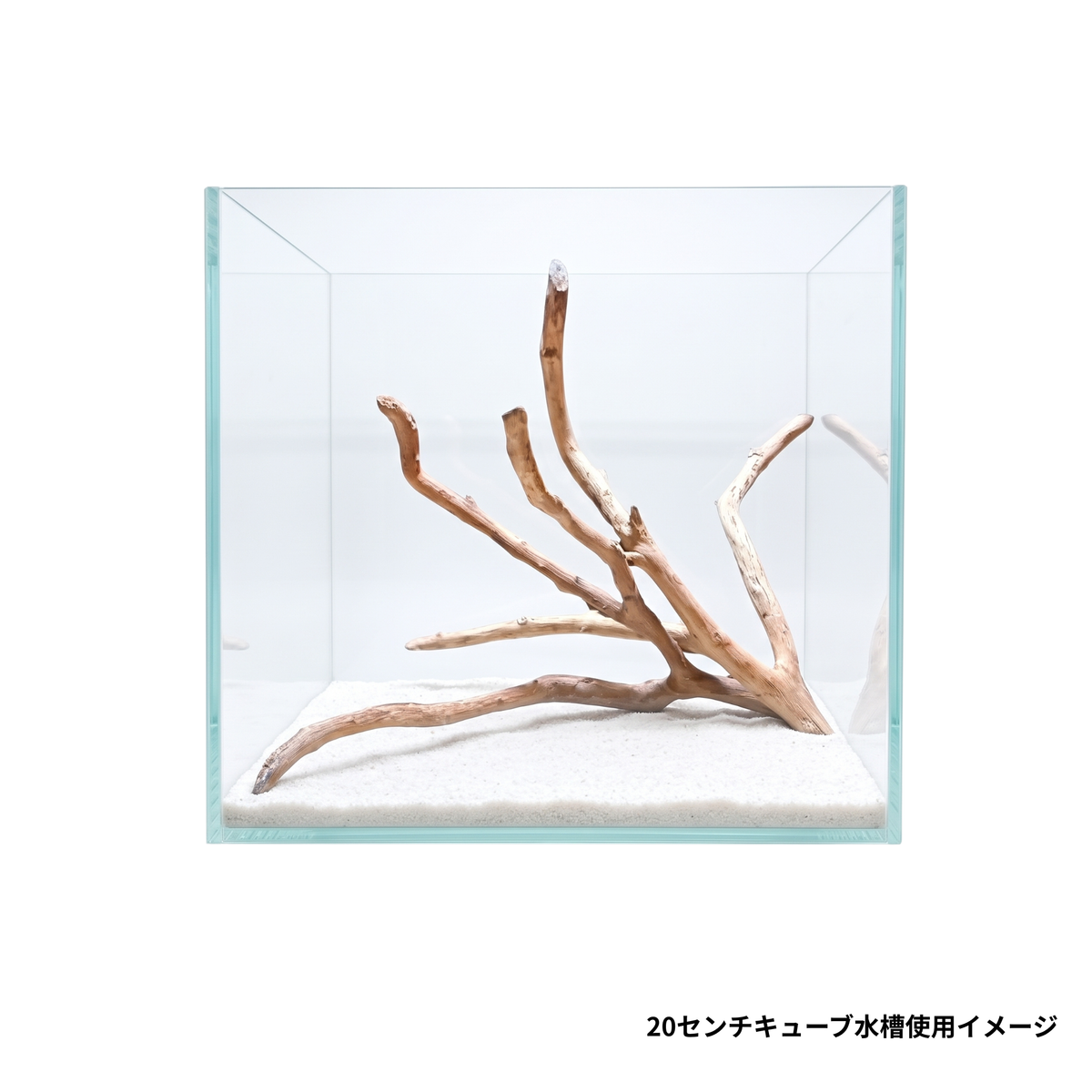 ネグロジャングルウッドミニ2