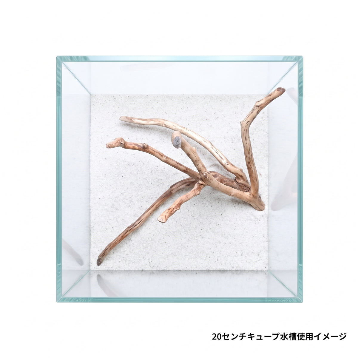 ネグロジャングルウッド（おまかせ）ミニ×2本セット