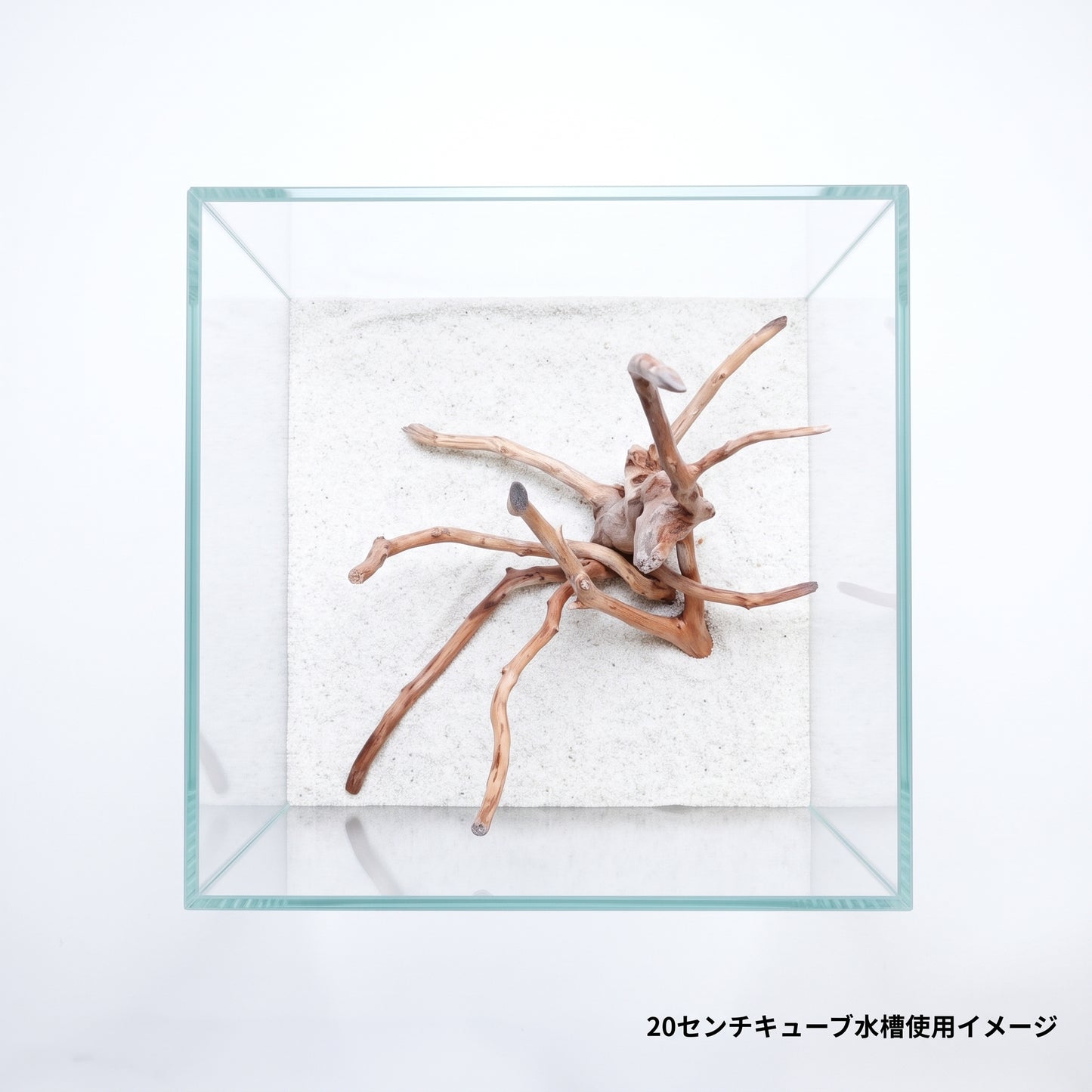 ネグロジャングルウッド（おまかせ）ミニ×3本セット