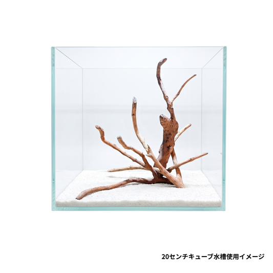 ネグロジャングルウッドミニ3本