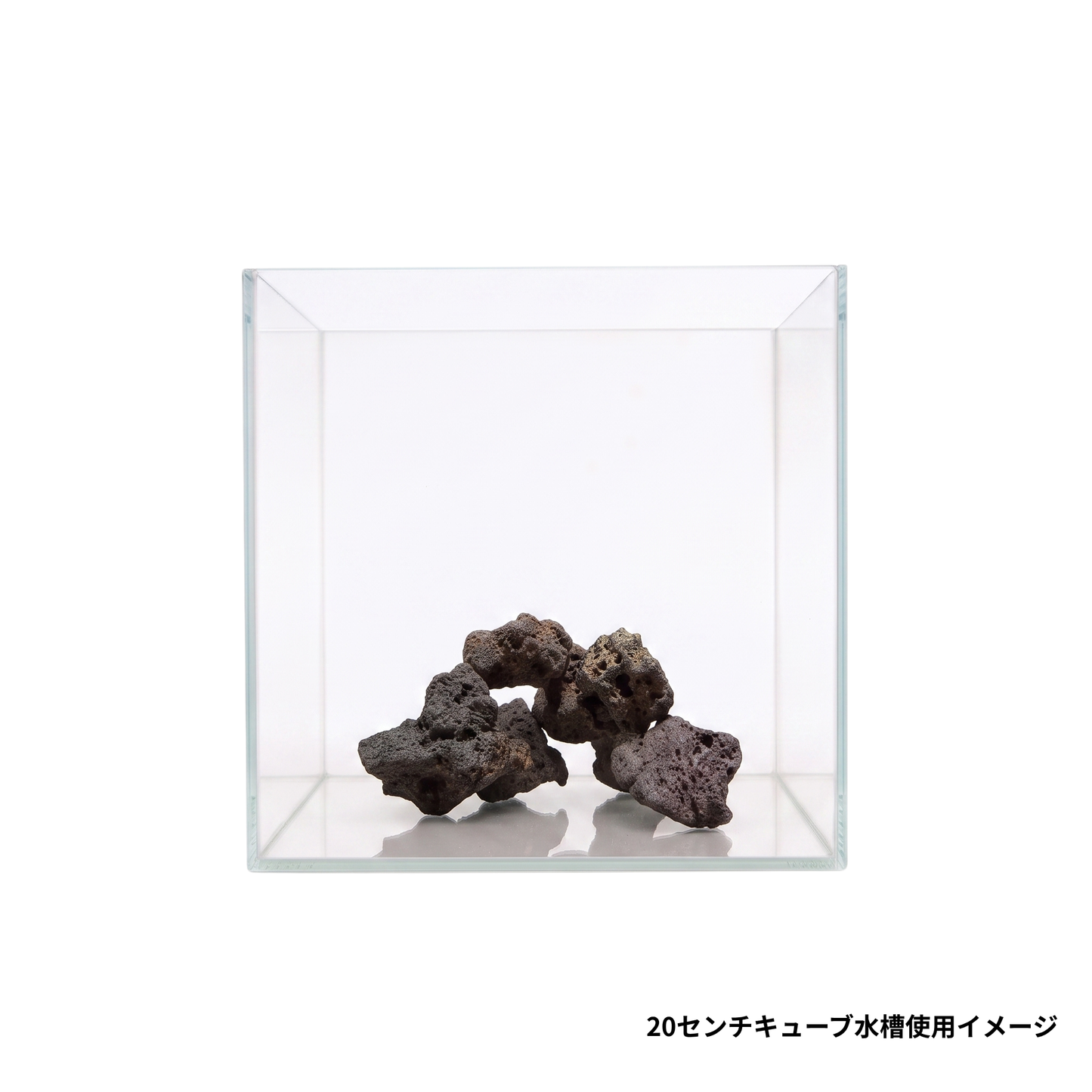 サムライラバロック小サイズ5個