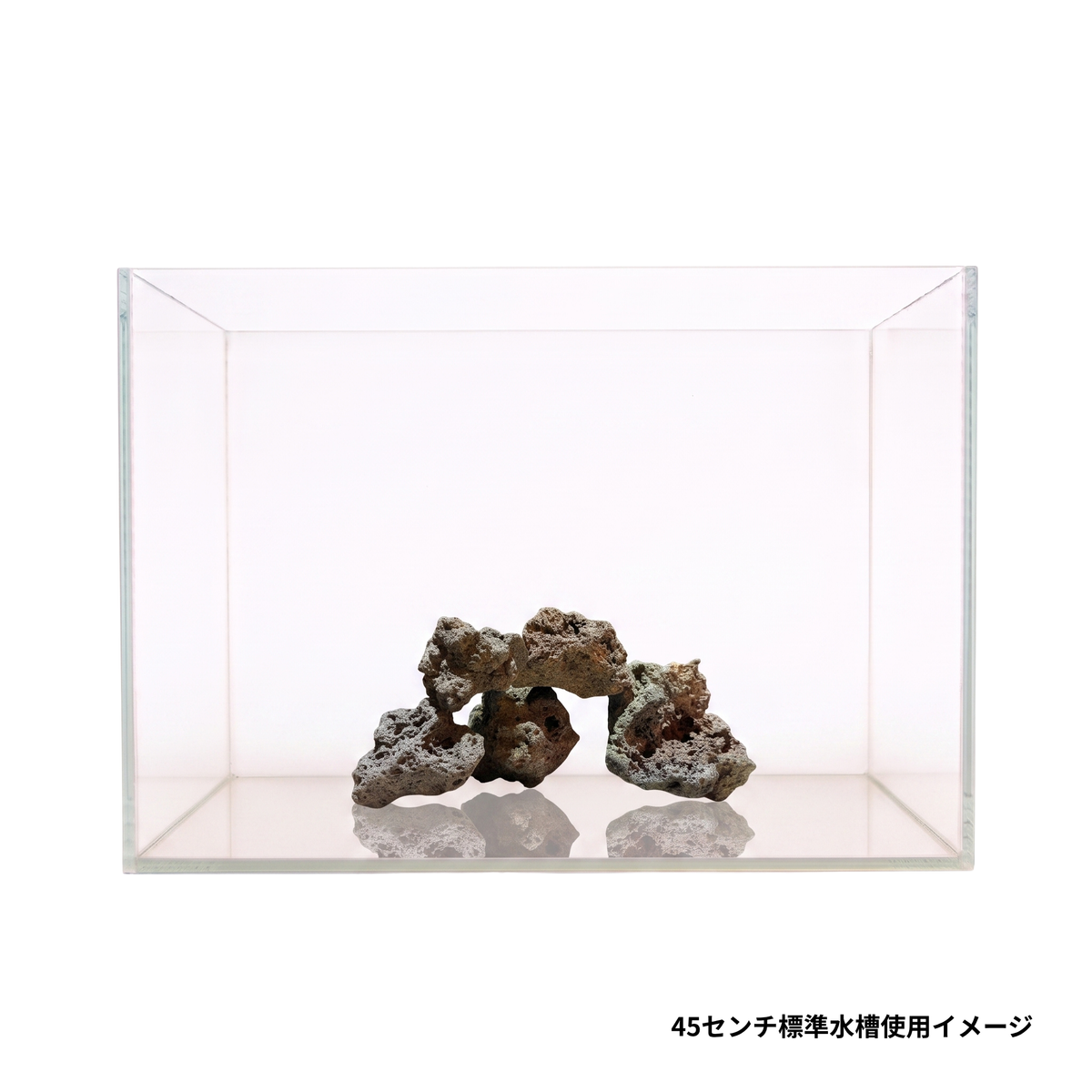 サムライラバロック標準サイズ5個