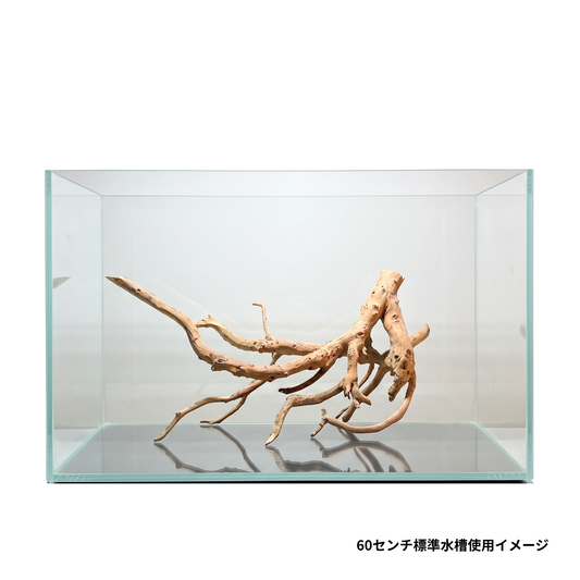 ネグロジャングルウッドL　60センチ水槽