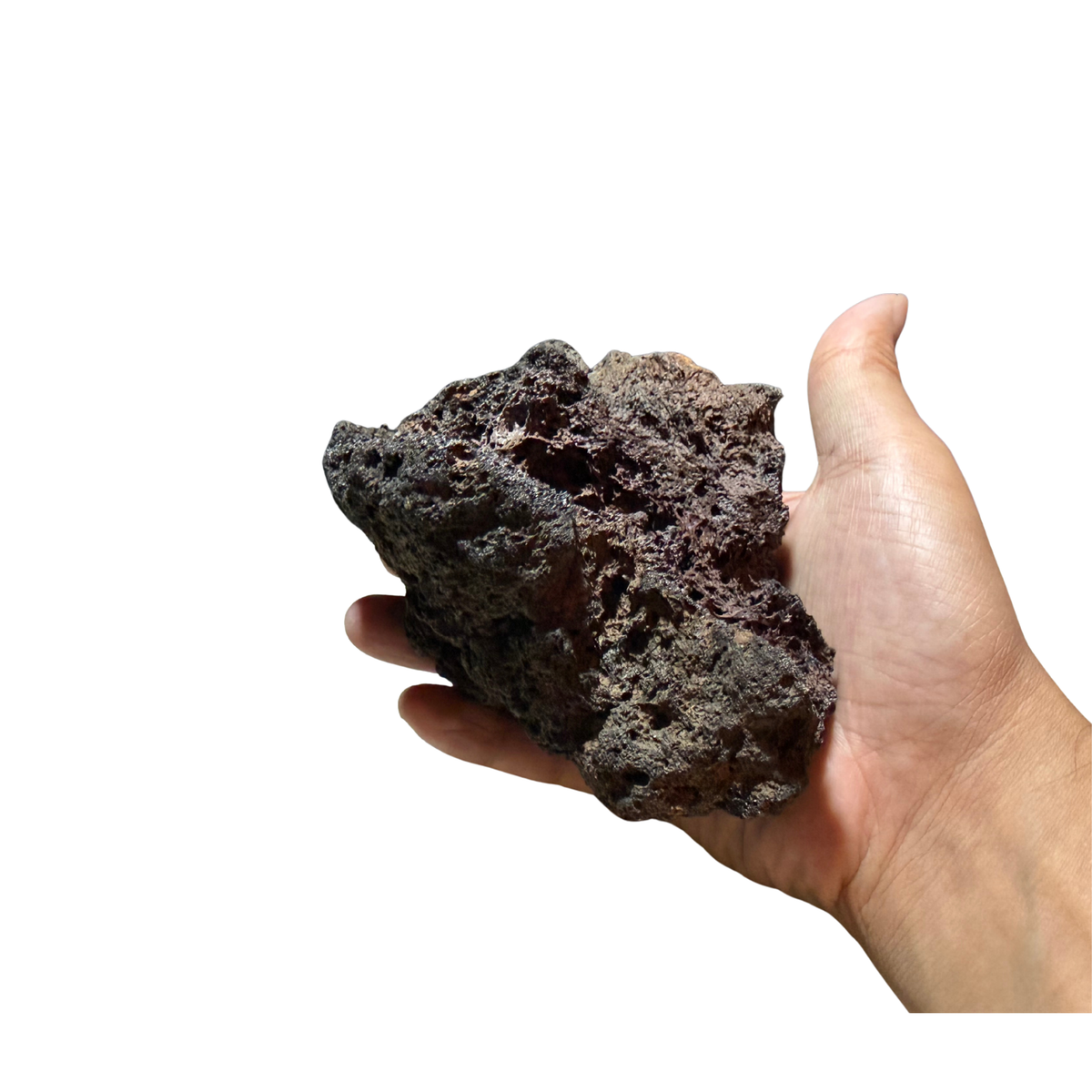 サムライラバロック大サイズ