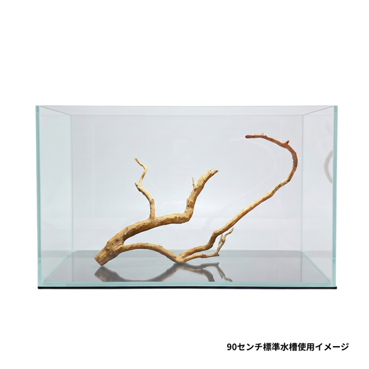 90センチ水槽のネグロジャングルウッド