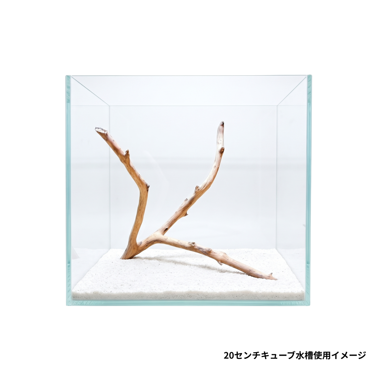 ネグロジャングルウッドミニ