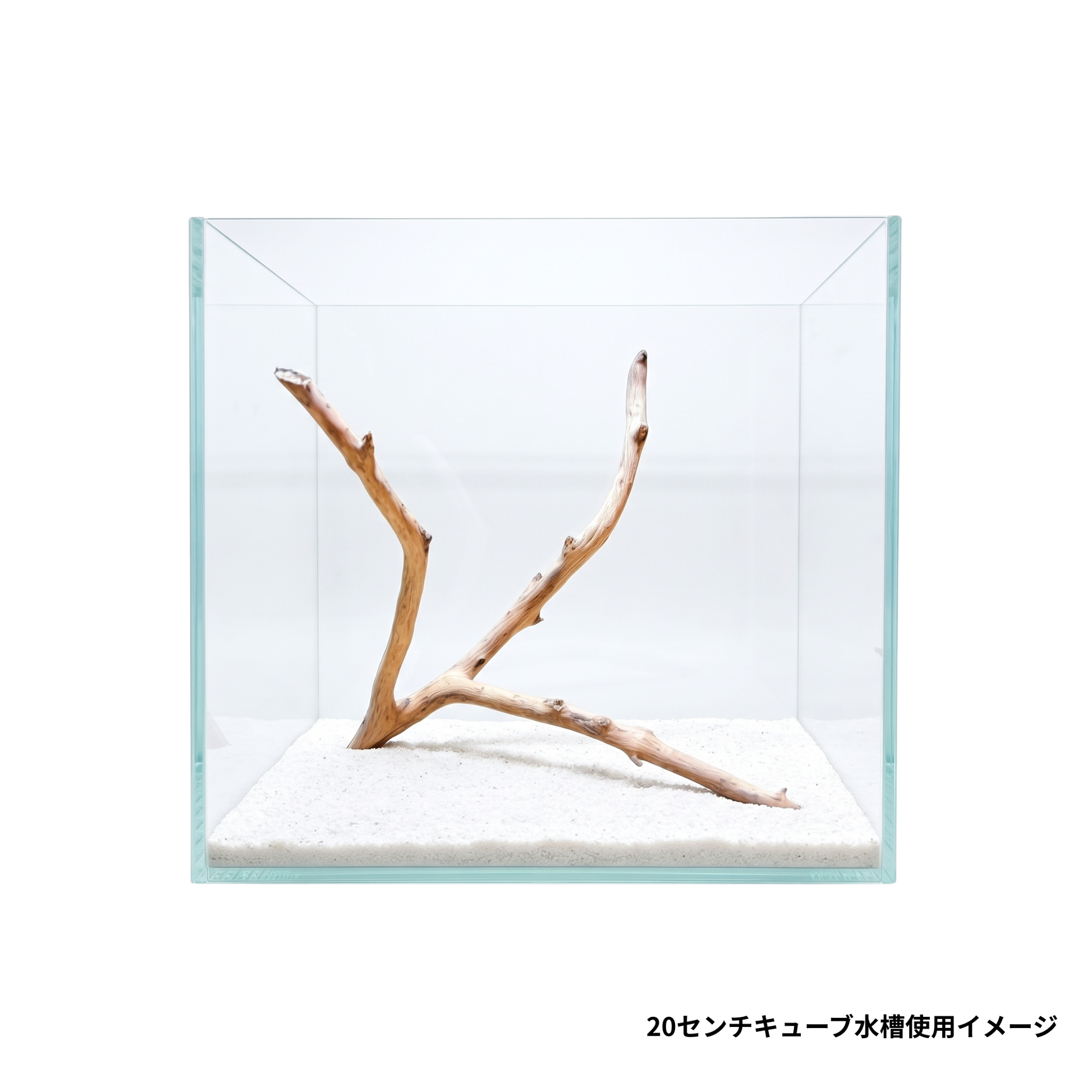 ネグロジャングルウッドミニ