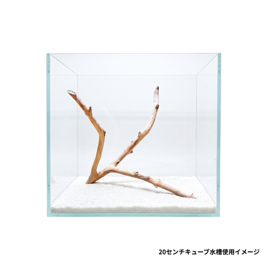 ネグロジャングルウッドミニ