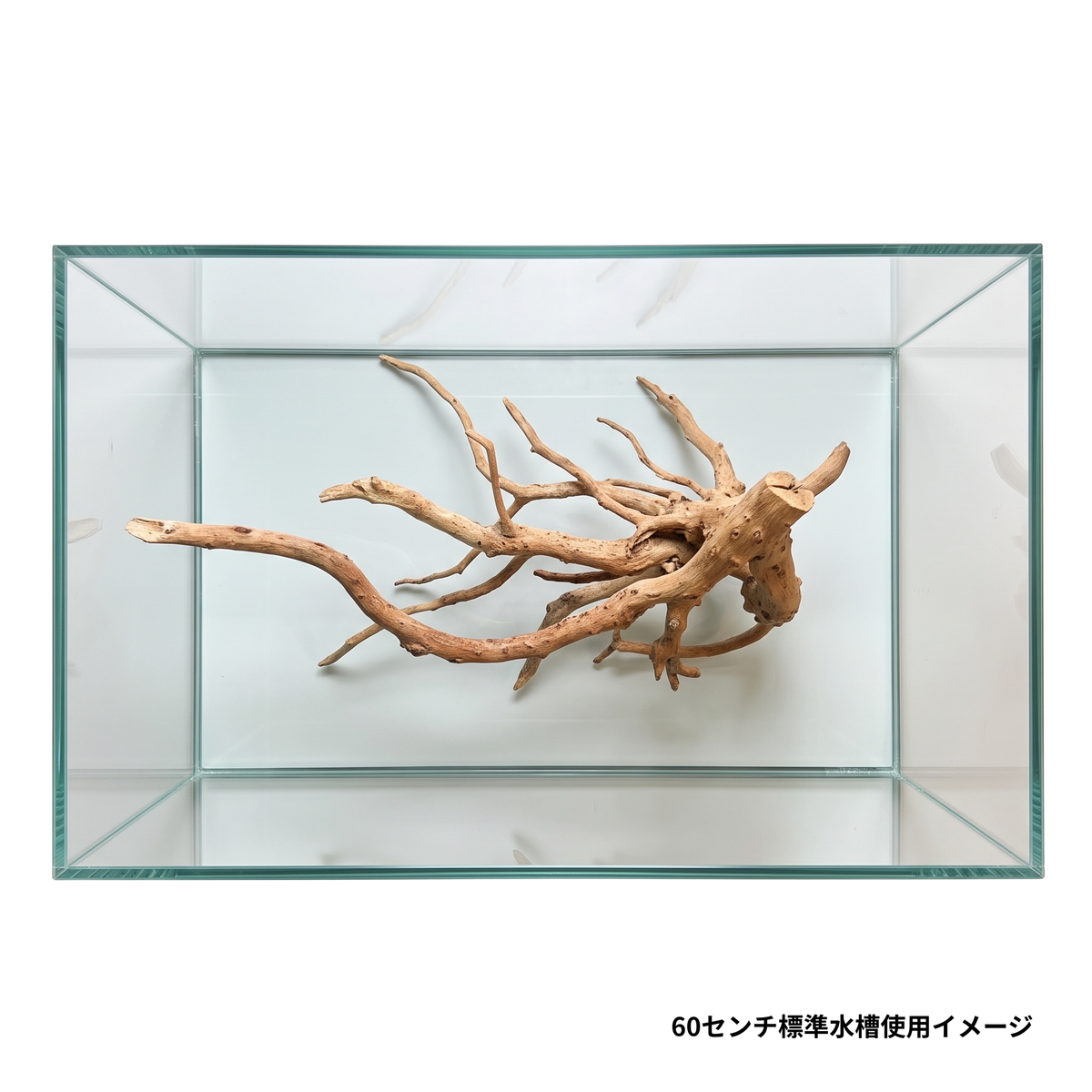 ネグロジャングルウッドS使用例2