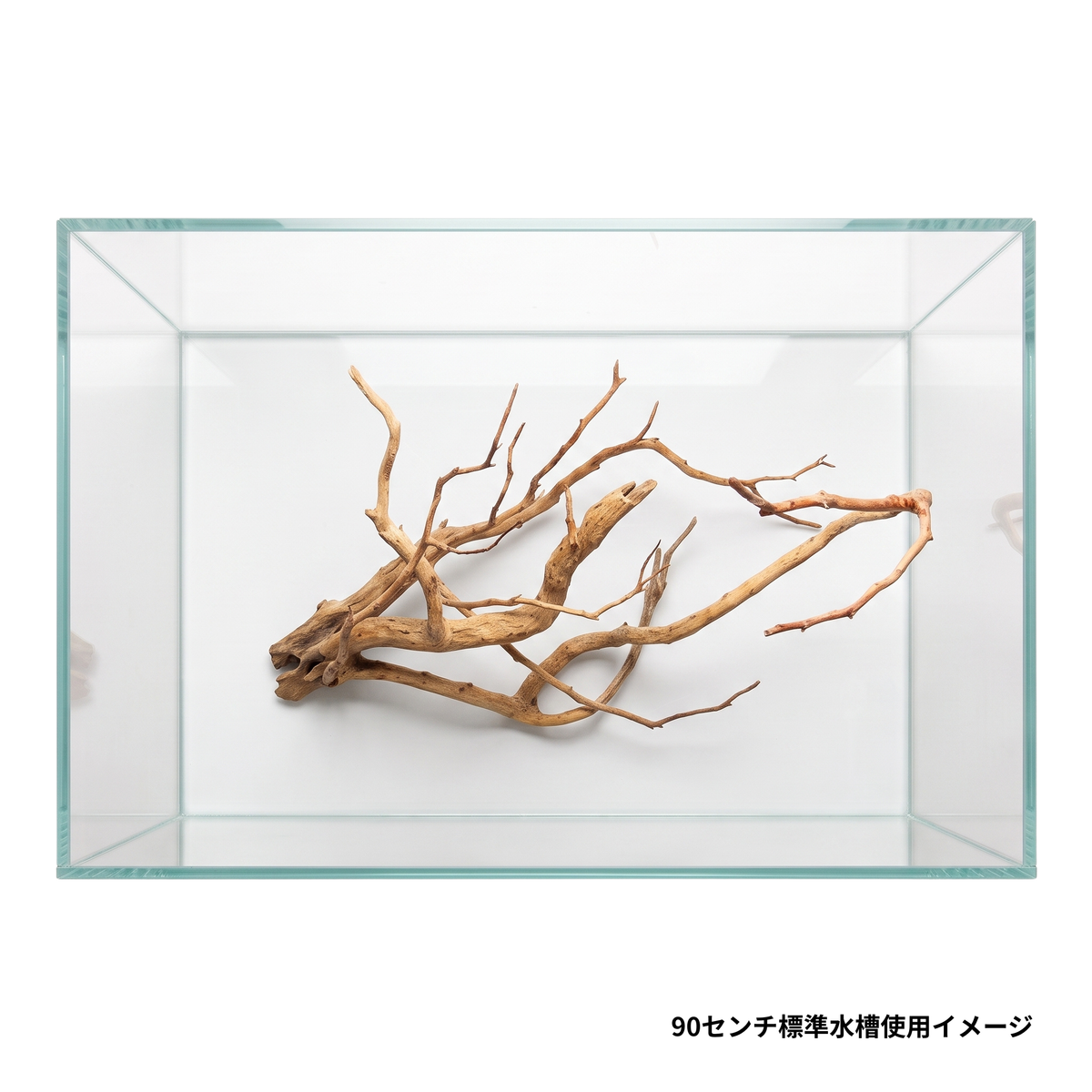 ネグロジャングルウッド（おまかせ）LL×2本セット