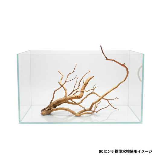 ネグロジャングルウッド（おまかせ）LL×2本セット