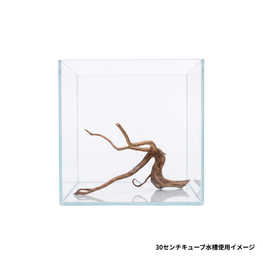 ネグロジャングルウッドS　30センチ水槽