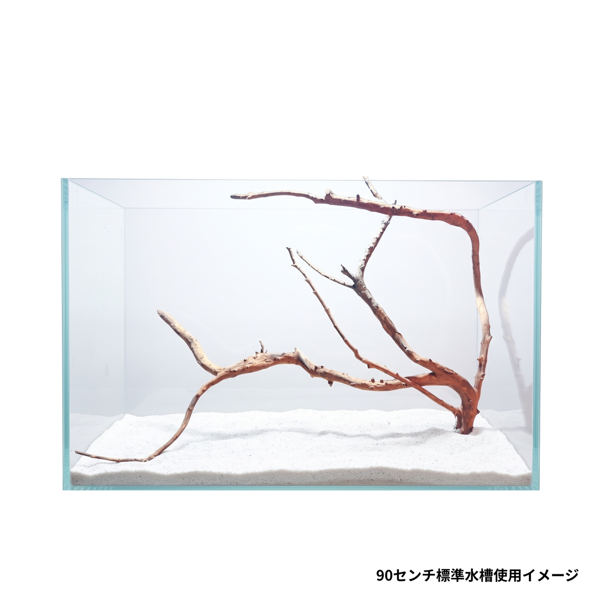 ネグロジャングルウッド（おまかせ）XL