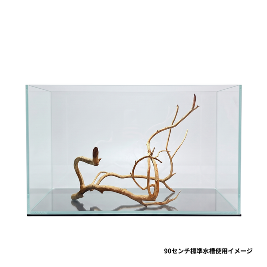 90センチ水槽のネグロジャングルウッド