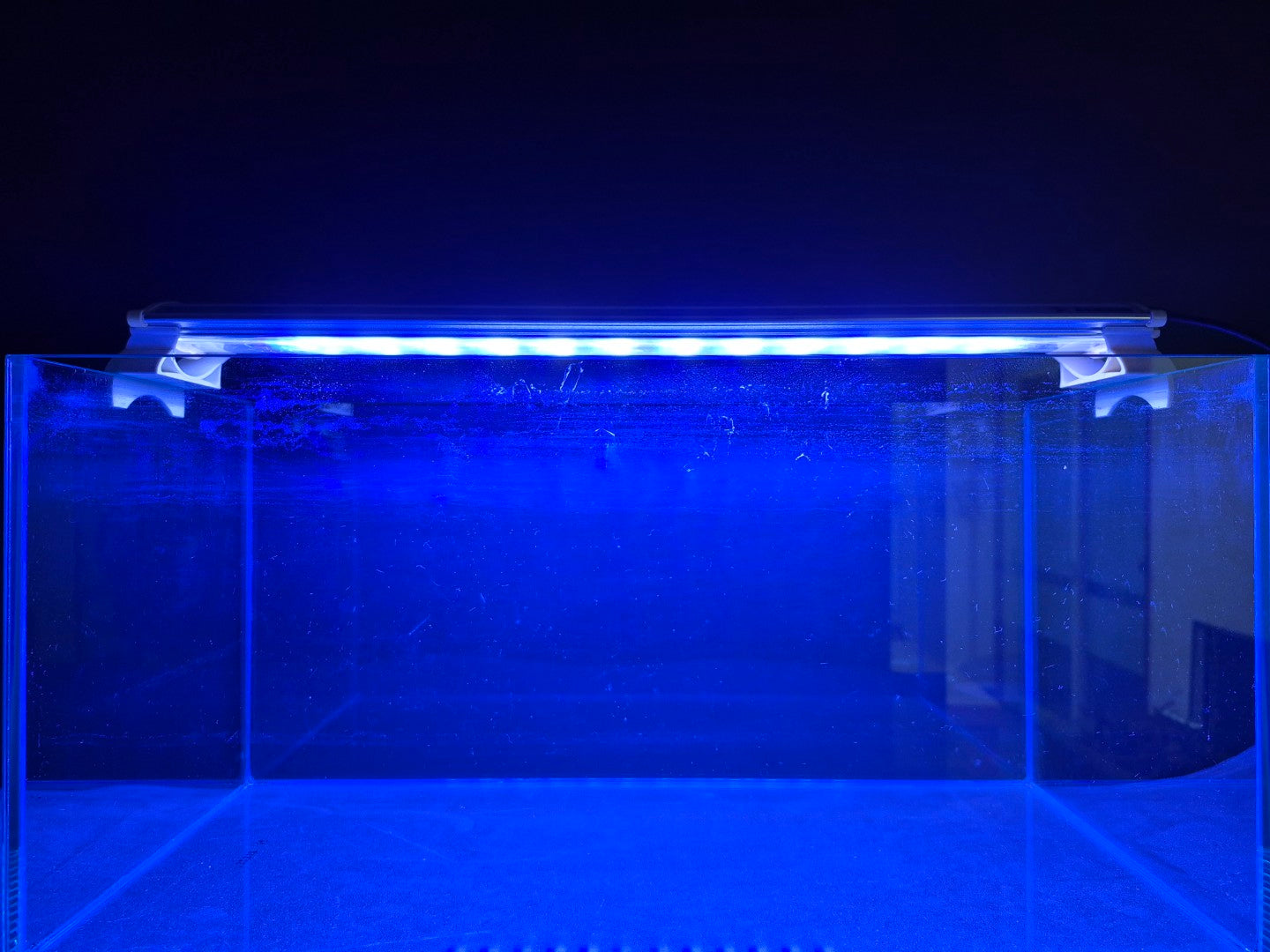【特選中古】ゼンスイ LED PLUS 45cm シャイニングブルー 50Hz/60Hz共用