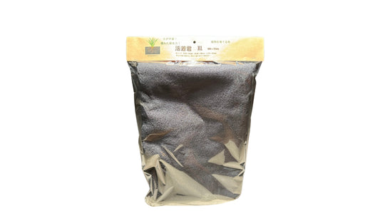 活着君 XL