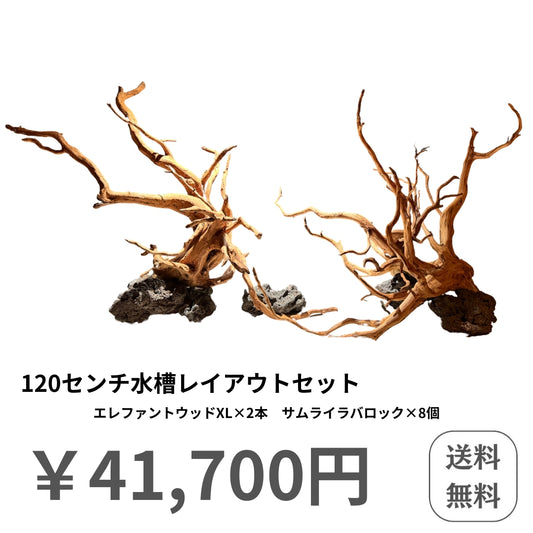 水槽レイアウトセット 120cm
