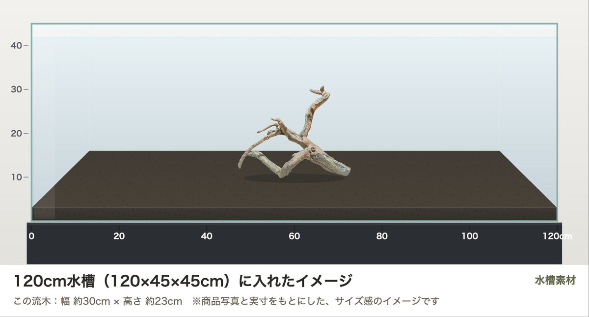 ネグロジャングルウッドL #015を120cm水槽（120×45×45cm）に入れたサイズ感のイメージ