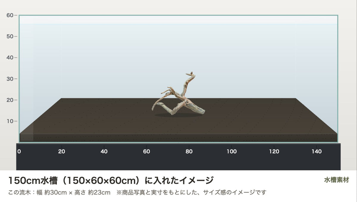 ネグロジャングルウッドL #015を150cm水槽（150×60×60cm）に入れたサイズ感のイメージ