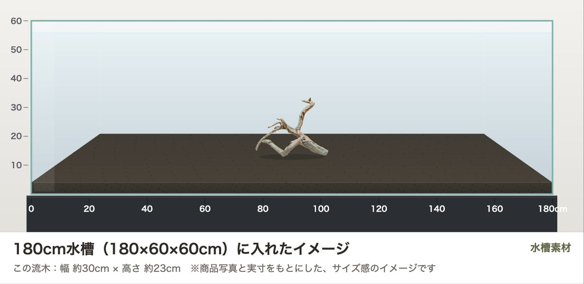 ネグロジャングルウッドL #015を180cm水槽（180×60×60cm）に入れたサイズ感のイメージ