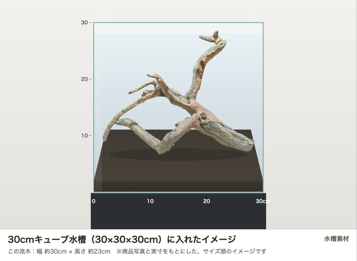 ネグロジャングルウッドL #015を30cmキューブ水槽（30×30×30cm）に入れたサイズ感のイメージ