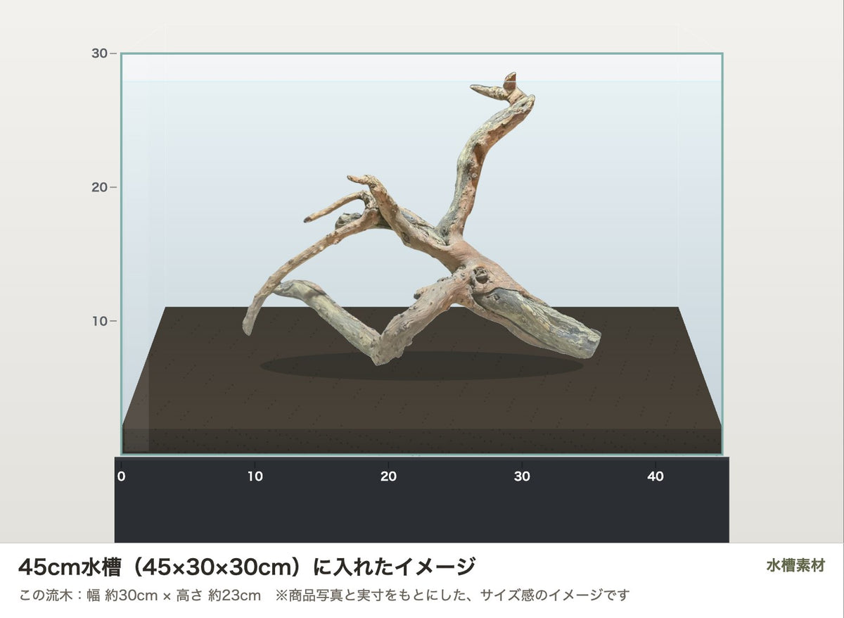 ネグロジャングルウッドL #015を45cm水槽（45×30×30cm）に入れたサイズ感のイメージ