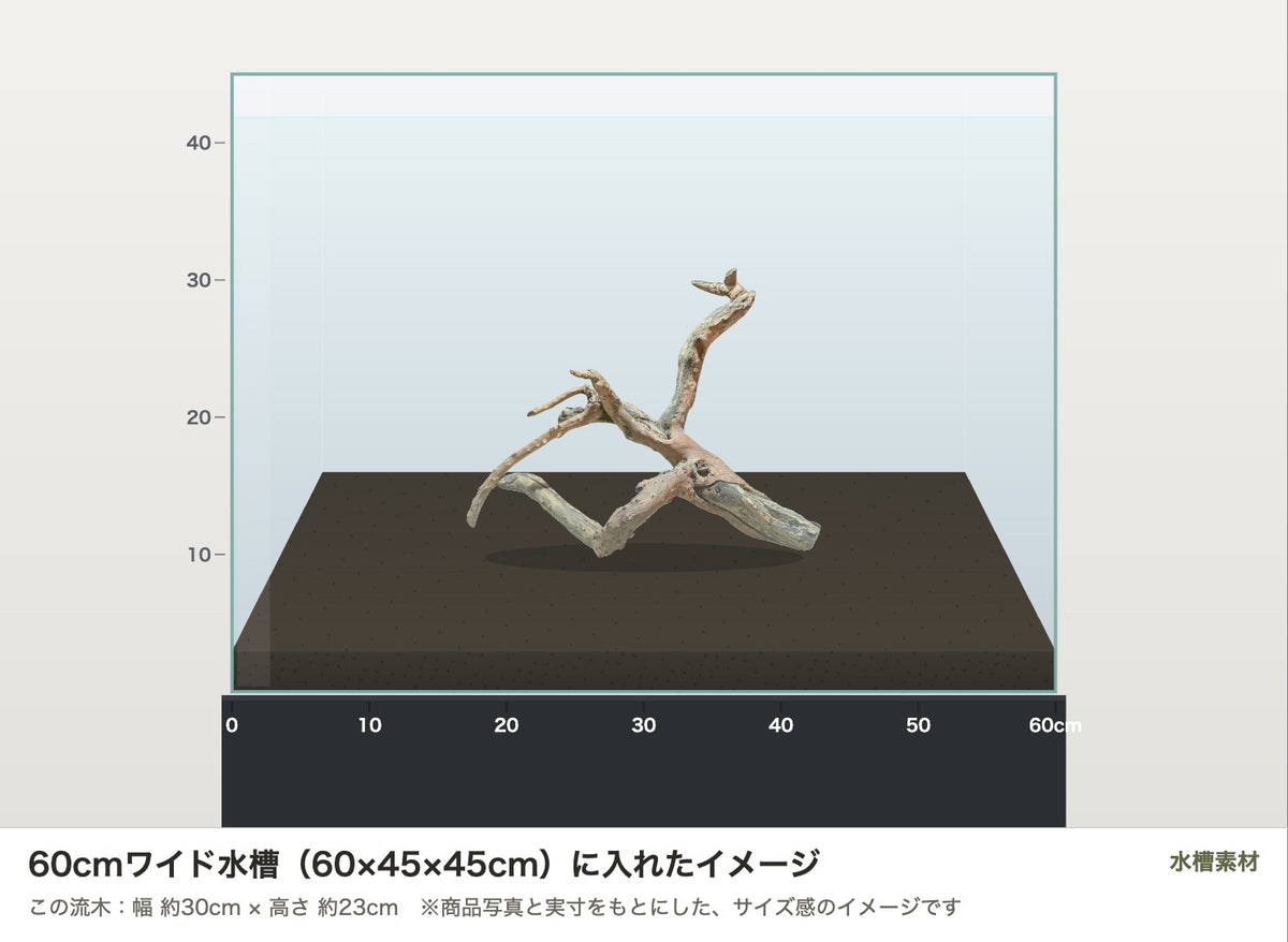 ネグロジャングルウッドL #015を60cmワイド水槽（60×45×45cm）に入れたサイズ感のイメージ
