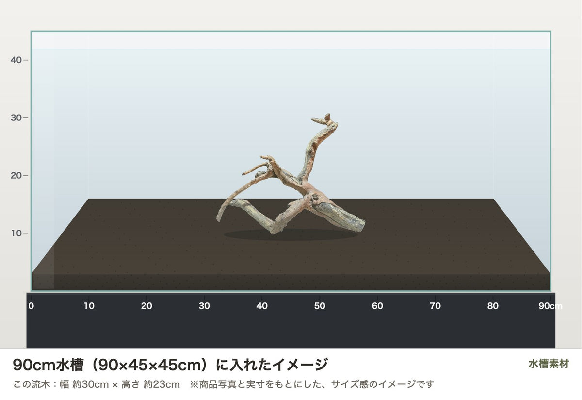 ネグロジャングルウッドL #015を90cm水槽（90×45×45cm）に入れたサイズ感のイメージ